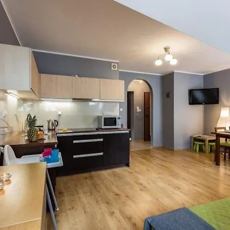 Apartament 6 W Centrum 5 Min Od Krupowek, Parking Zakopane Exterior photo