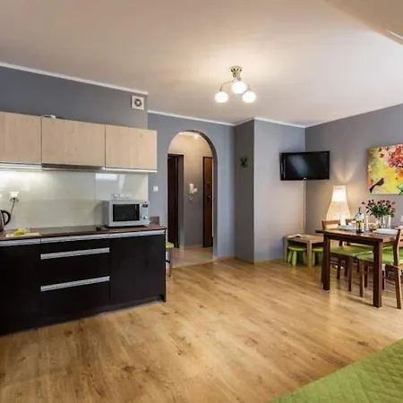 Apartament 6 W Centrum 5 Min Od Krupowek, Parking Zakopane Exterior photo